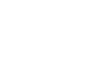 cardoen-3